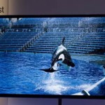Panasonic Will Launch 4k TV Sets Manufactured Using PLED Materials